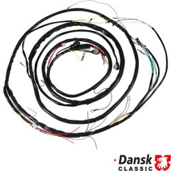 PartzBiz CE 1699901010 - Complete wiring harness for tunnel PartzBiz CE 1699901010 - Complete wiring harness for tunnel