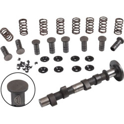 PartzBiz CE 8111203413 - Engle racing master camshaft set