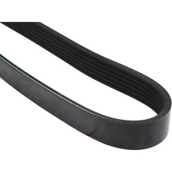 PartzBiz CE 1618100200 - V-Ribbed Belts