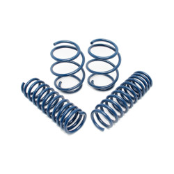 PartzBiz CM D100-0931 - Dinan Performance Spring set - 2016-2018 BMW F30/340i