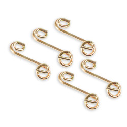 PartzBiz CM PANS5250-ERL - Earl's Quarter Turn Springs
